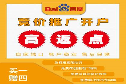 托管竞价sem案例分享：某电商平台的成功之路